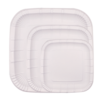 Disposable square paper plate 