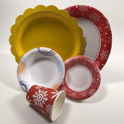 Disposable square paper plate