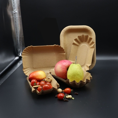 Disposable square paper plate